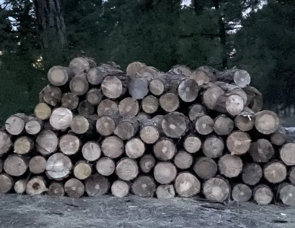 Top-rated lawn care service for outdoor upgrades across Helena, MT - B&B Urban Forestry