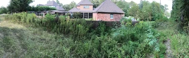 Expert yard cleanup service for outdoor upgrades across Zachary, LA - B.B. Wolfe & Co