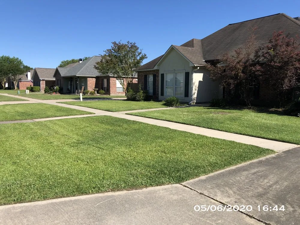 Custom yard maintenance in Zachary, LA - B.B. Wolfe & Co