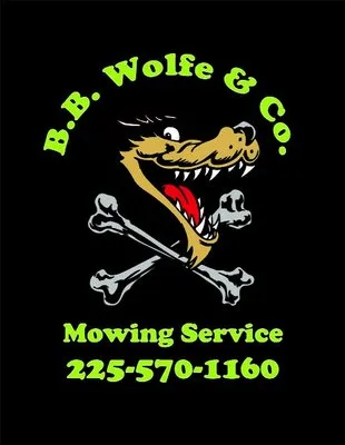 B.B. Wolfe & Co