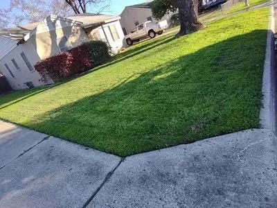 Reliable lawn care service in Modesto, CA by Bb Yard Care