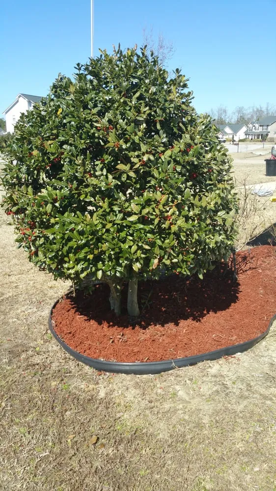 Local lawn care service in Hope Mills, NC by BB&C Lawn Care & Pressure Washing