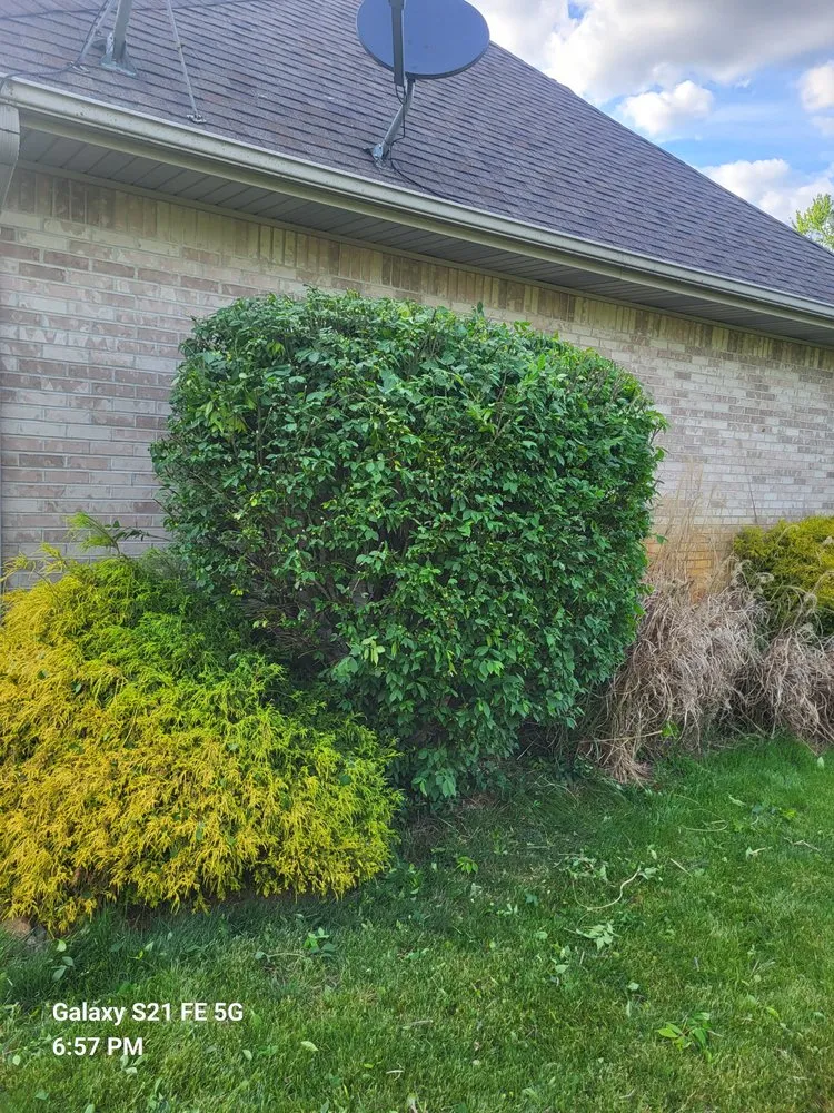 Local garden landscaping experts serving Dansville, MI - Bbetterlawncare
