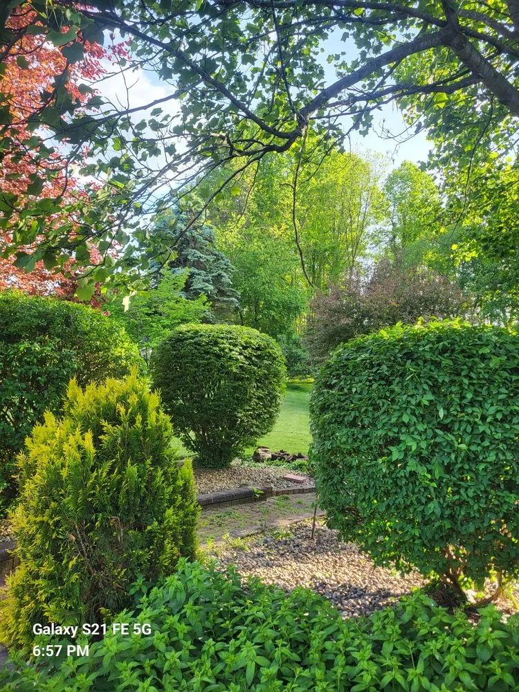 Trusted yard cleanup service experts serving Dansville, MI - Bbetterlawncare