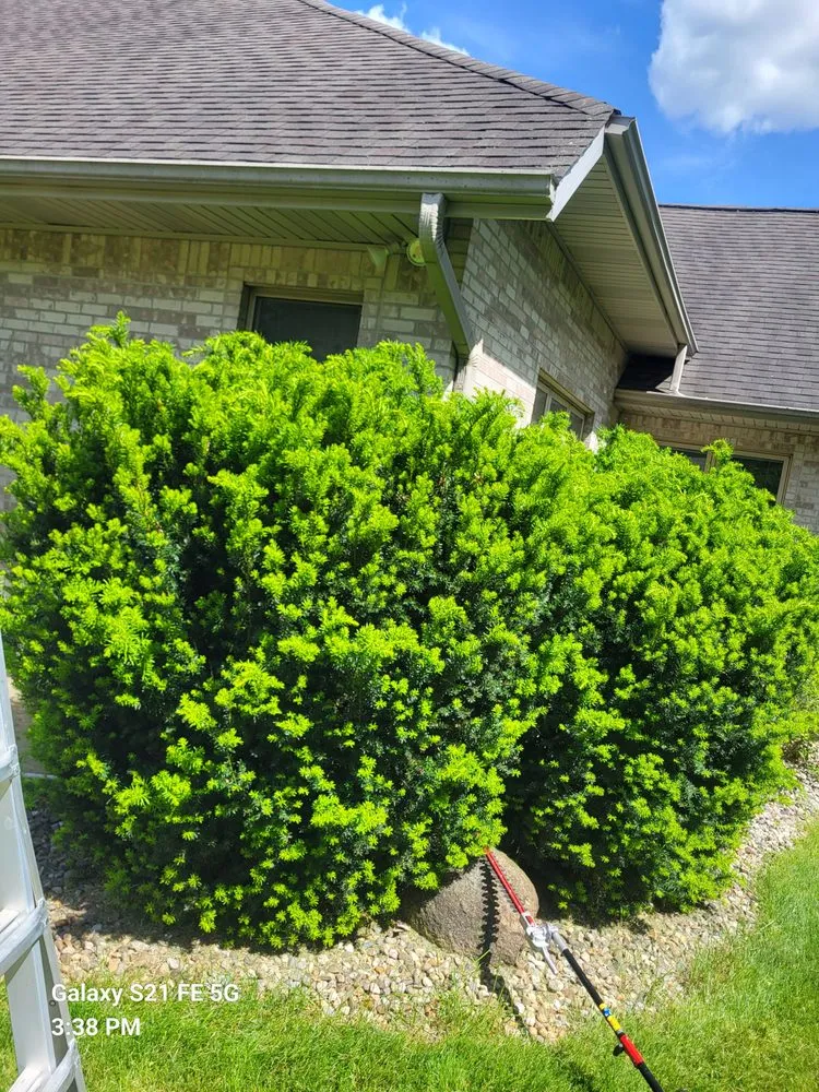 Expert yard cleanup service with custom design in Dansville, MI by Bbetterlawncare