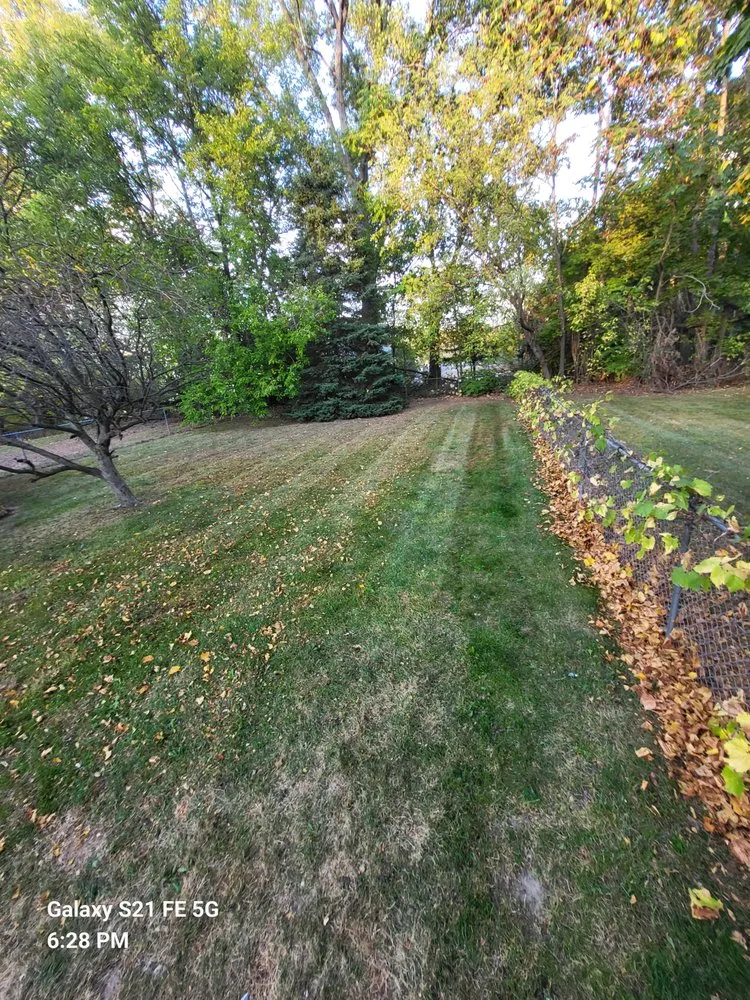 Local yard maintenance near you in Dansville, MI by Bbetterlawncare