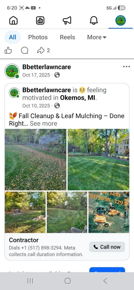 Professional yard cleanup service in Dansville, MI - Bbetterlawncare