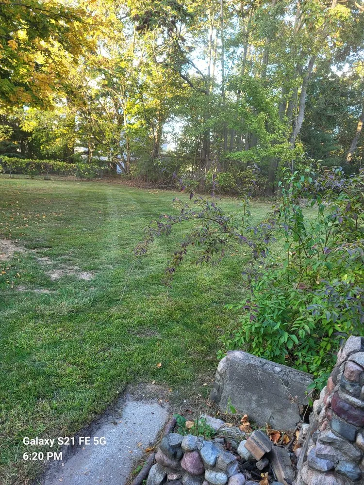 Professional yard cleanup service in Dansville, MI by Bbetterlawncare