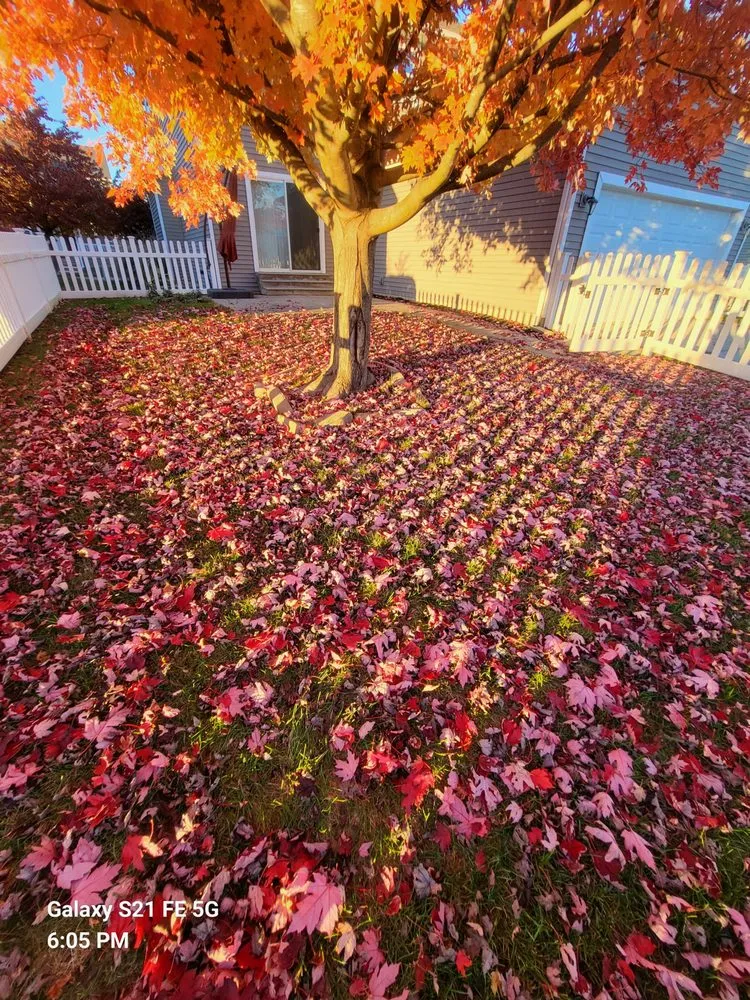 Trusted landscape installation in Dansville, MI by Bbetterlawncare