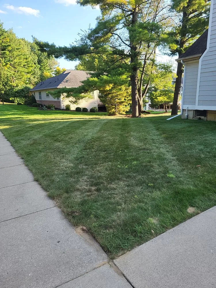 Reliable landscape design for outdoor upgrades across Dansville, MI - Bbetterlawncare