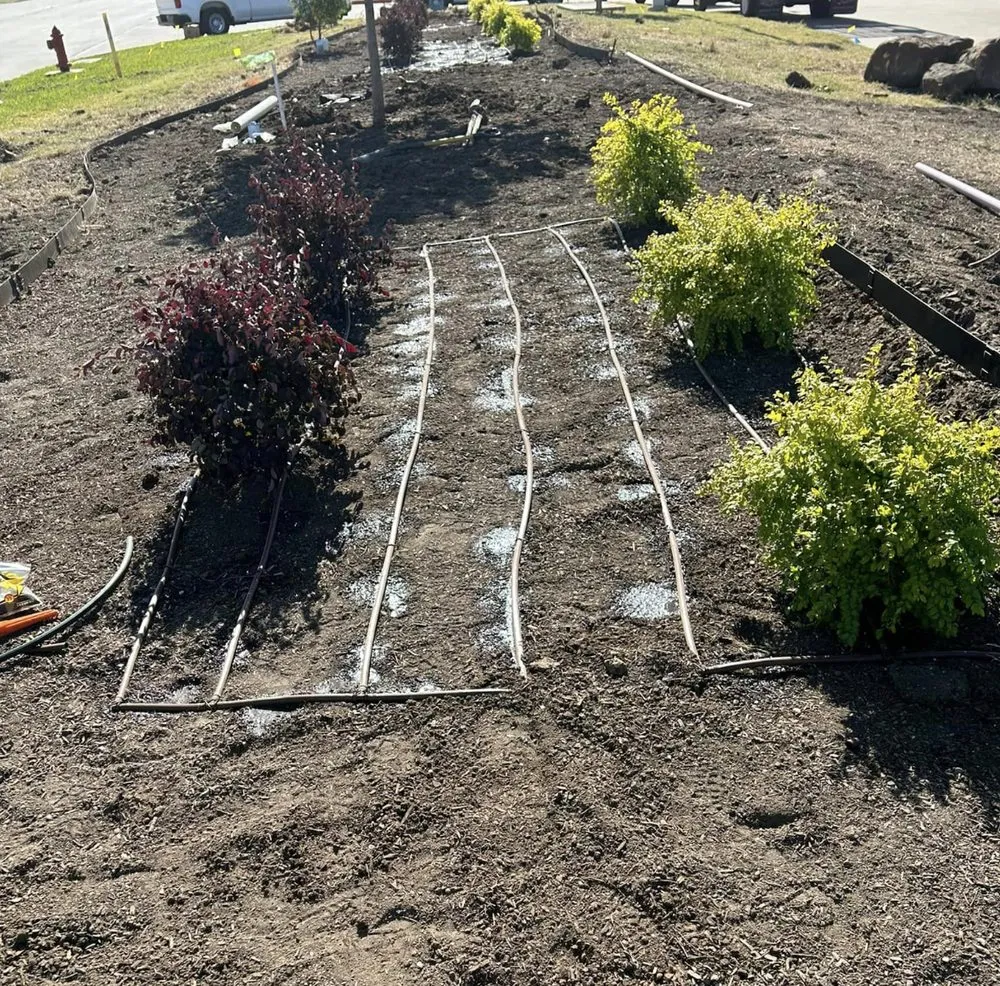 Top-rated yard cleanup service for beautiful yards across Haslet, TX - BBG Earth Services