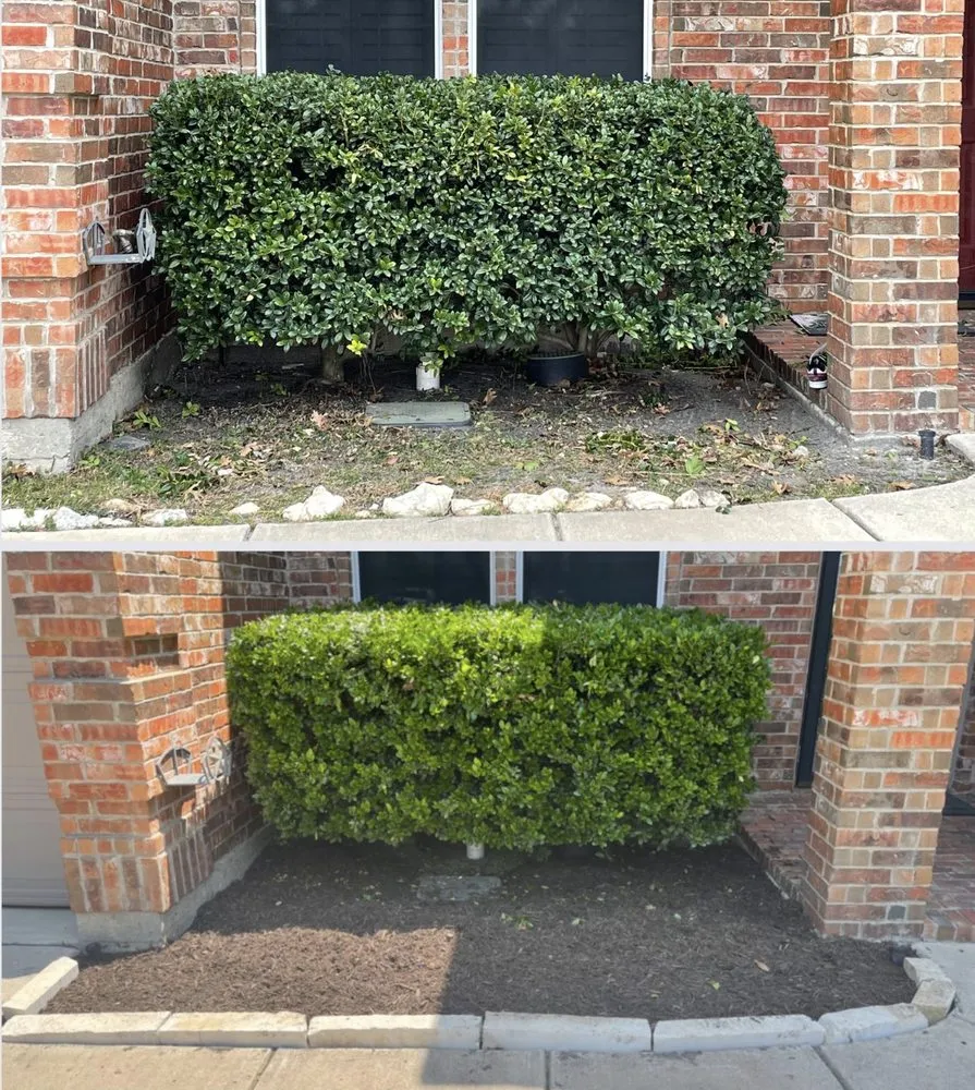 Affordable residential landscaping experts serving Haslet, TX - BBG Earth Services