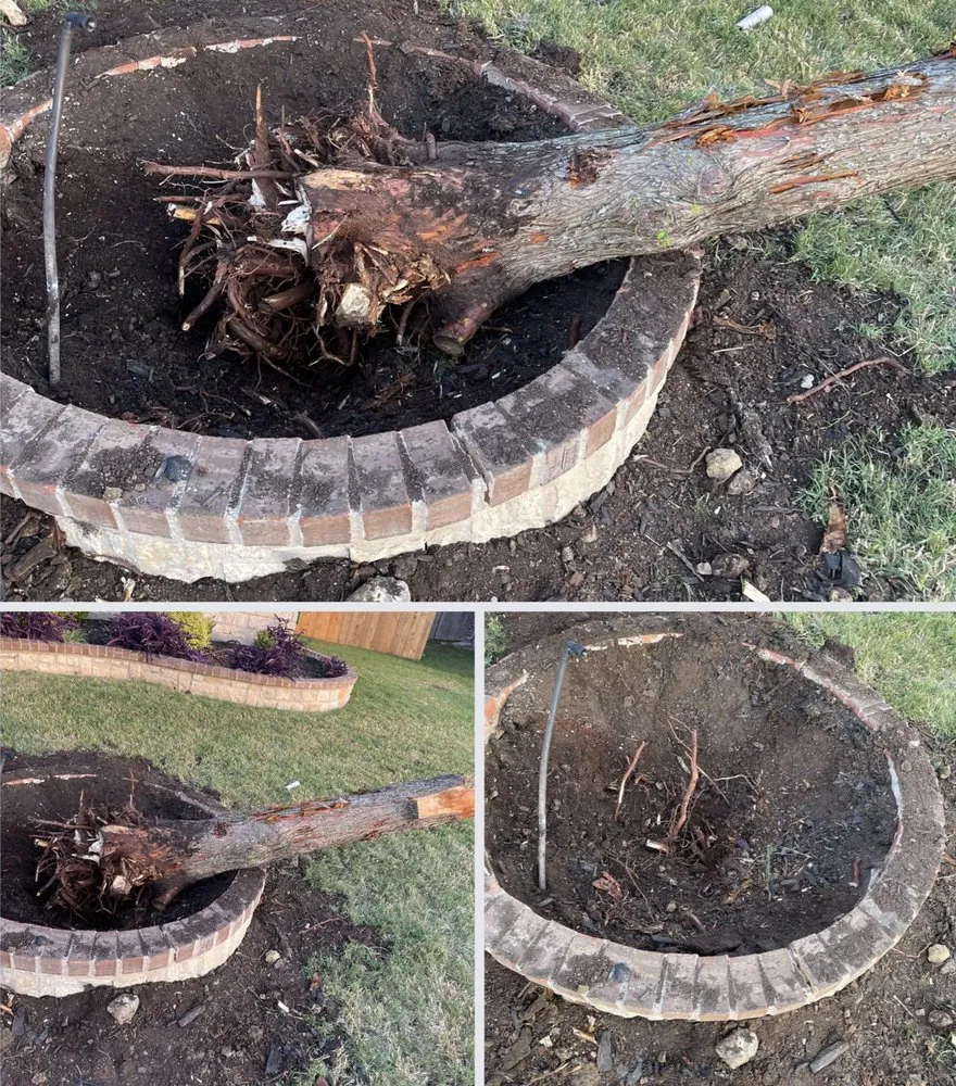 Local yard cleanup service for homes in Haslet, TX by BBG Earth Services