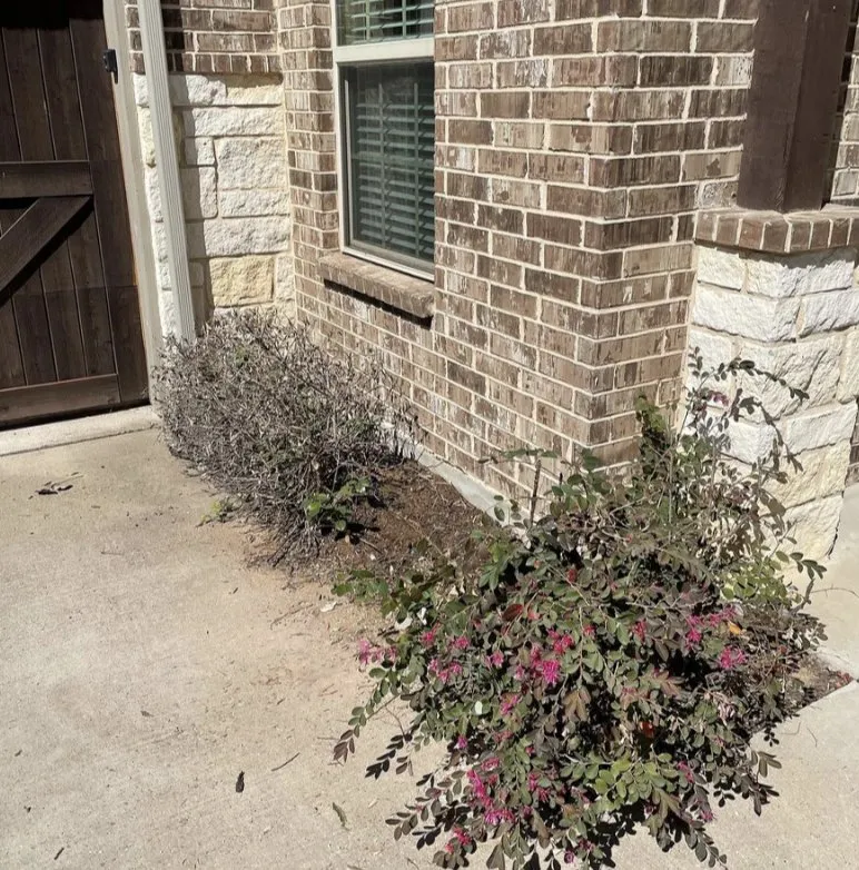 Expert lawn care service in Haslet, TX by BBG Earth Services