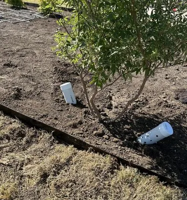 BBG Earth Services Logo