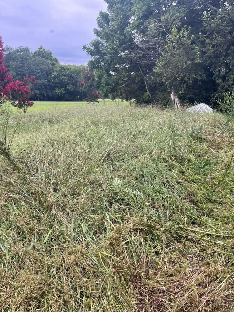 Affordable yard cleanup service in Cape Charles, VA - BB&G Services