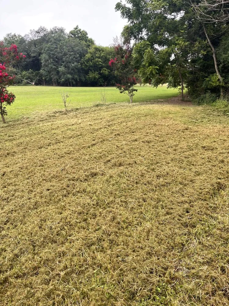 Top-rated landscape installation for homes across Cape Charles, VA - BB&G Services