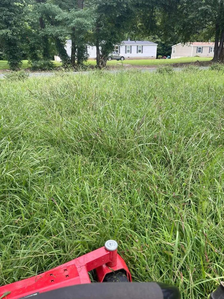 Top-rated lawn mowing service in Cape Charles, VA - BB&G Services