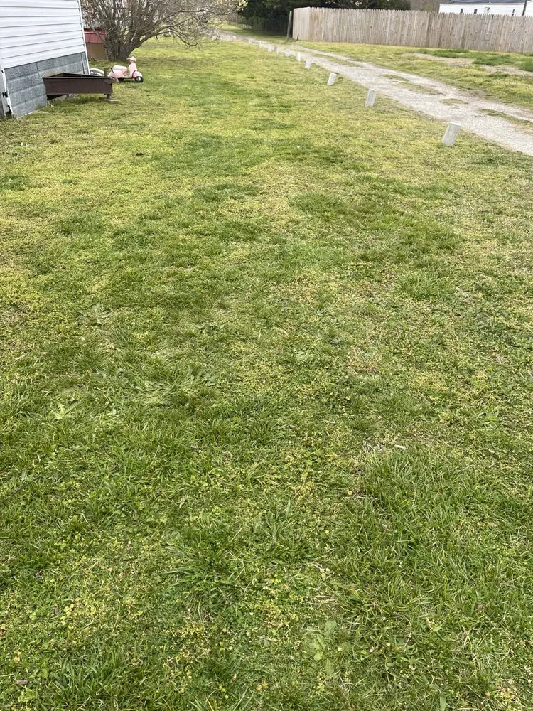 Trusted yard maintenance experts serving Cape Charles, VA - BB&G Services