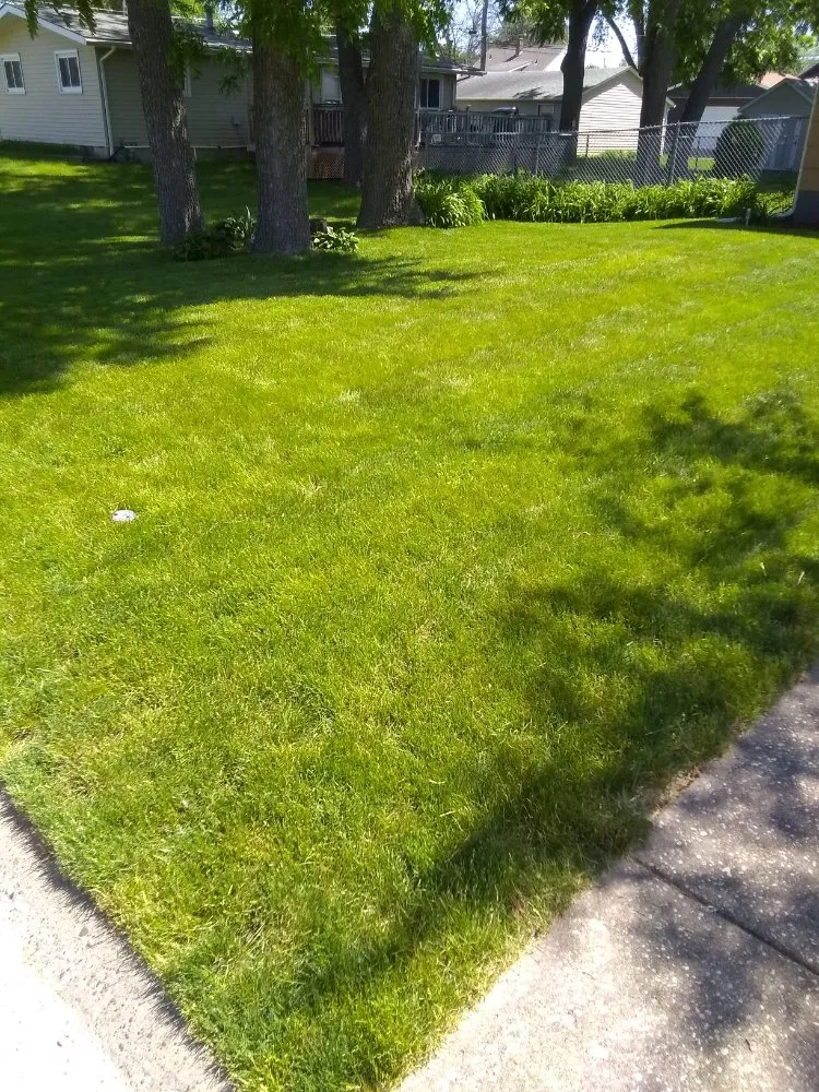 Custom yard cleanup service experts serving Rock Island, IL - BBN Lawn Service