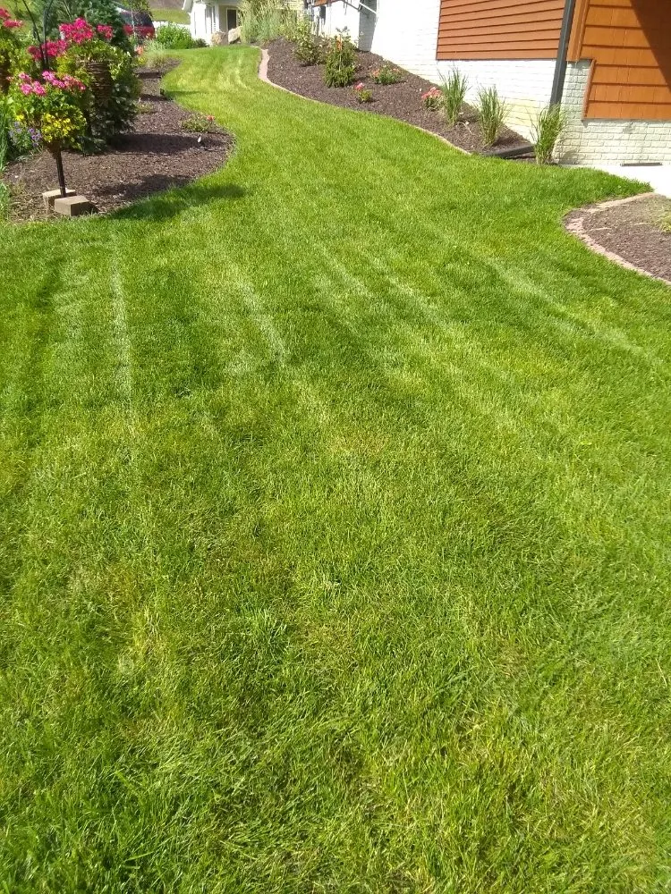 Professional yard cleanup service for year-round maintenance across Rock Island, IL - BBN Lawn Service