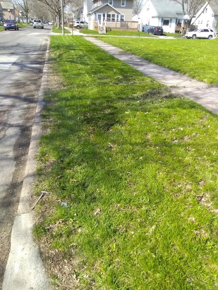 Affordable landscaping services in Rock Island, IL by BBN Lawn Service