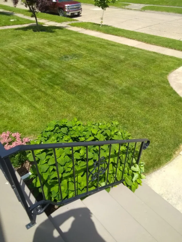 Top-rated lawn mowing service in Rock Island, IL - BBN Lawn Service