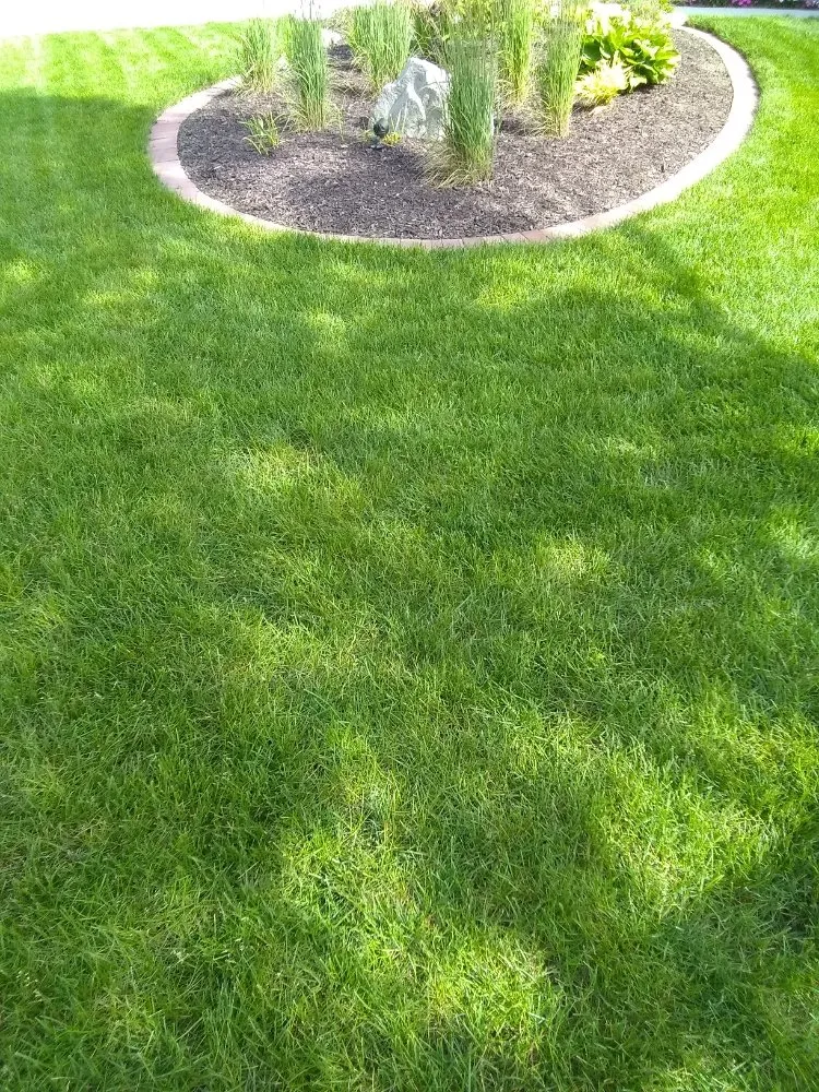 Local residential landscaping with custom design across Rock Island, IL - BBN Lawn Service