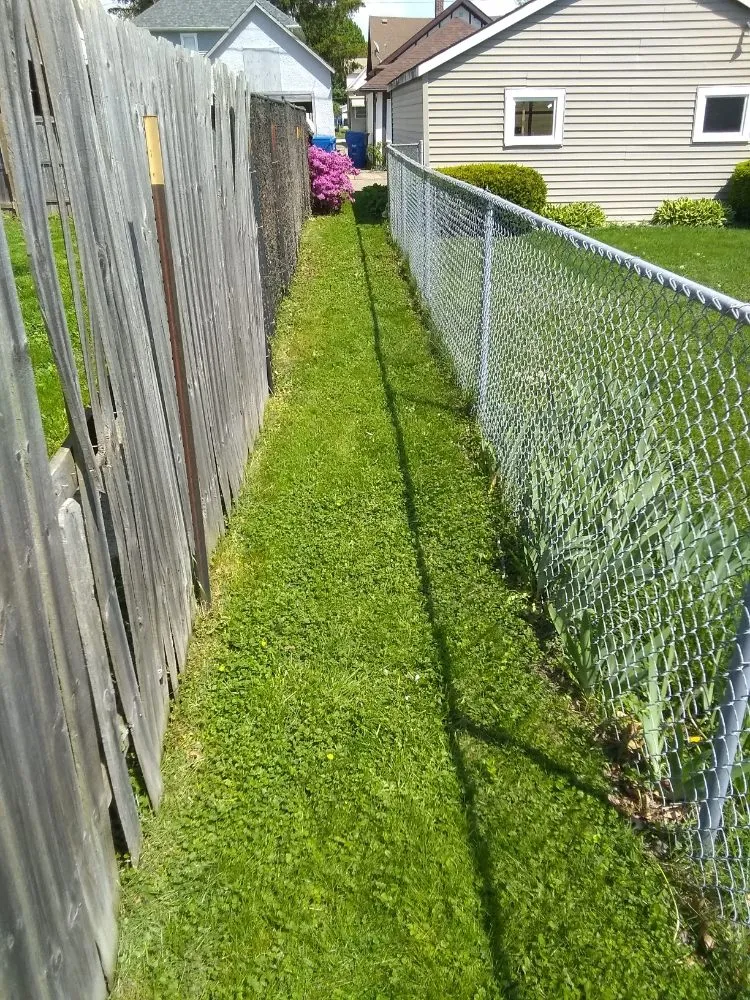 Affordable lawn care service with custom design across Rock Island, IL - BBN Lawn Service