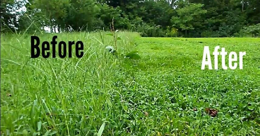 Professional landscape design in Abingdon, VA - BBP Landscaping