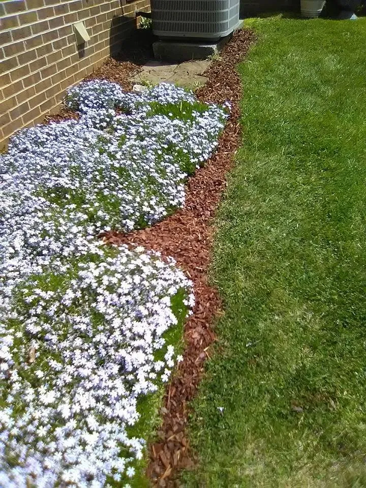 Trusted yard cleanup service in Abingdon, VA by BBP Landscaping