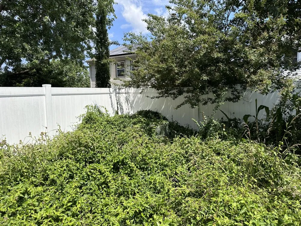 Trusted landscape design for year-round maintenance across Chesapeake, VA - BB’s Backyard & Beyond