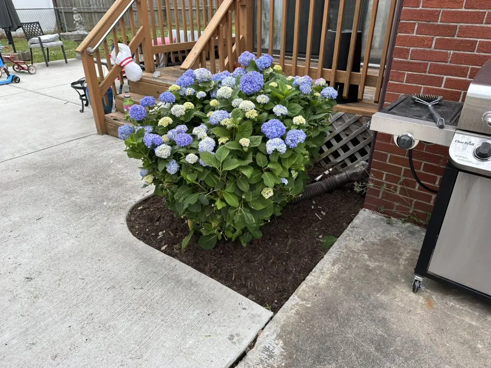 Professional landscape installation for outdoor upgrades in Chesapeake, VA by BB’s Backyard & Beyond