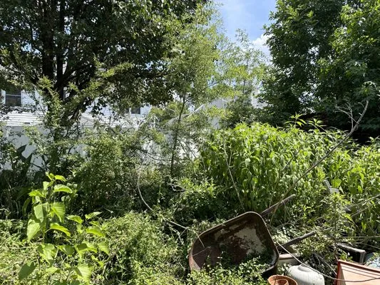 BB’s Backyard & Beyond