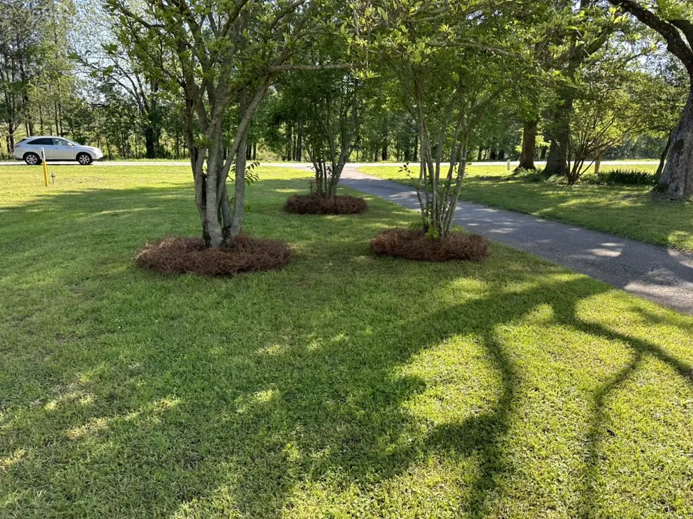 Top-rated residential landscaping for year-round maintenance in Crawford, GA by BB’S landscaping