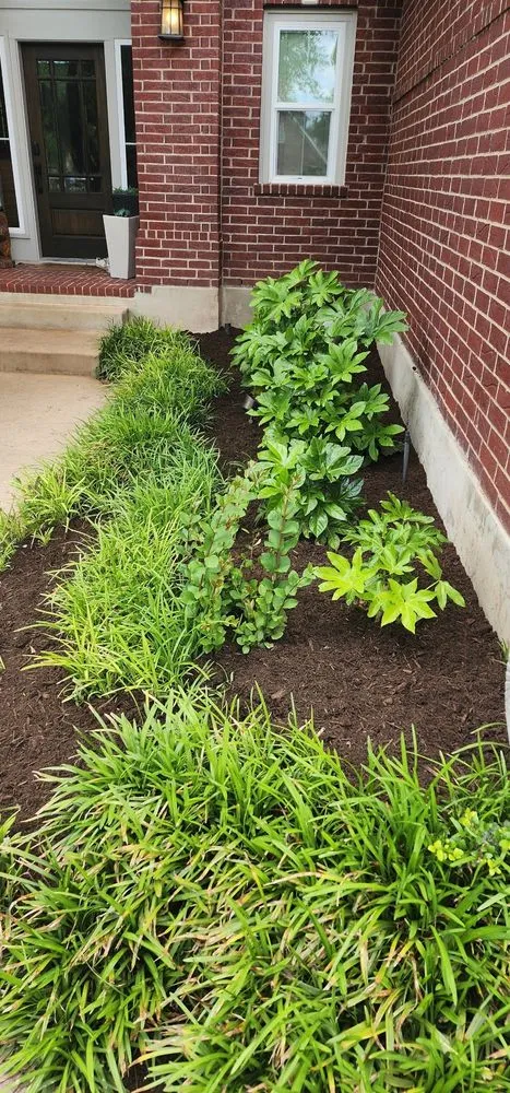 Expert landscaping services for beautiful yards in Round Rock, TX by BBS Landscaping