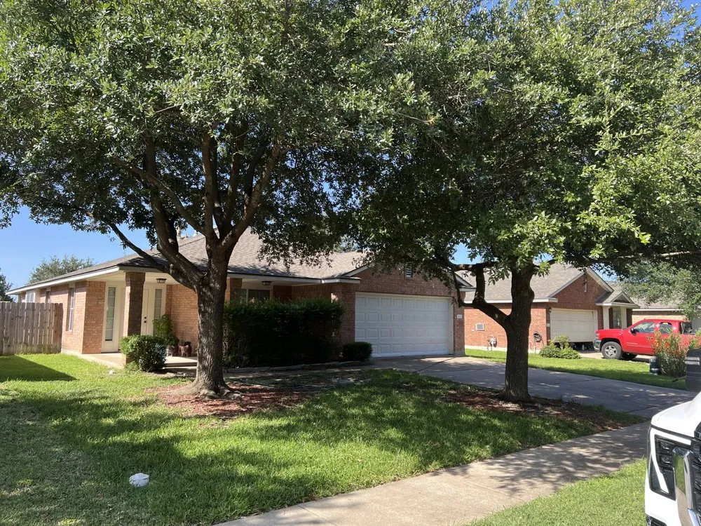 Affordable landscaping services for outdoor upgrades in Round Rock, TX by BBS Landscaping