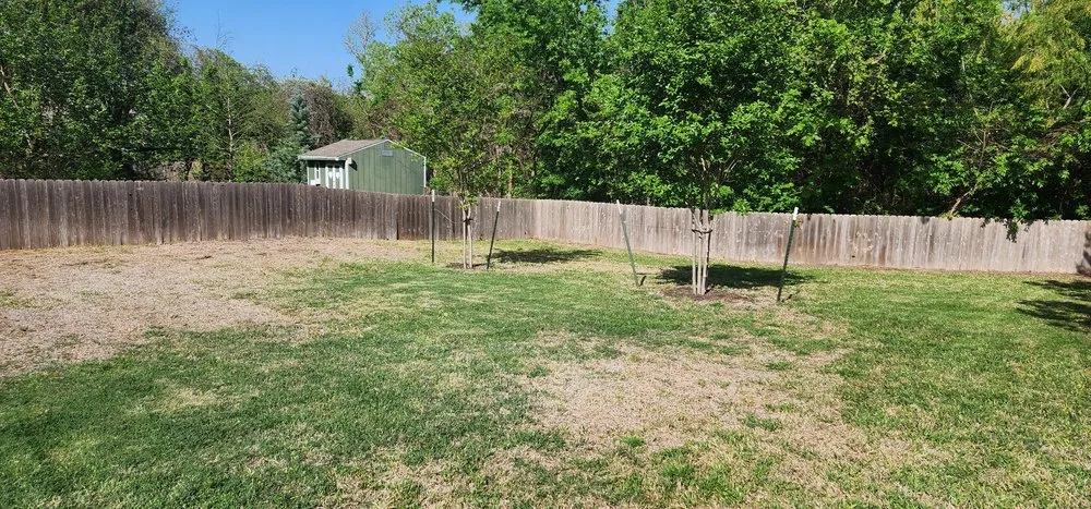 Reliable lawn mowing service experts serving Round Rock, TX - BBS Landscaping