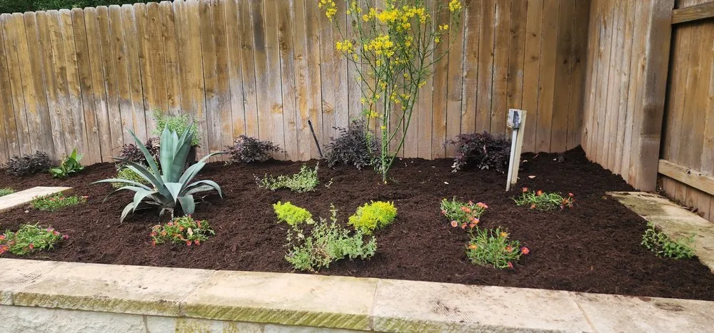 Affordable lawn care service experts serving Round Rock, TX - BBS Landscaping