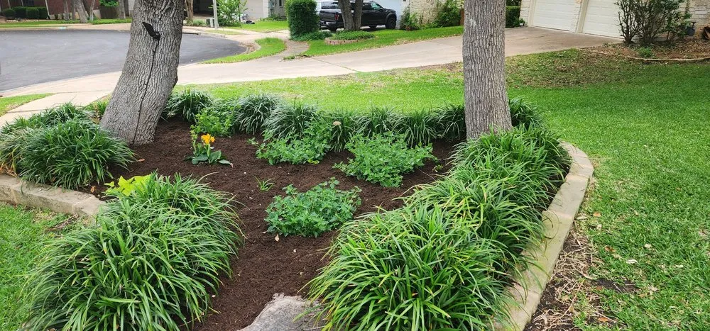 Local lawn mowing service experts serving Round Rock, TX - BBS Landscaping