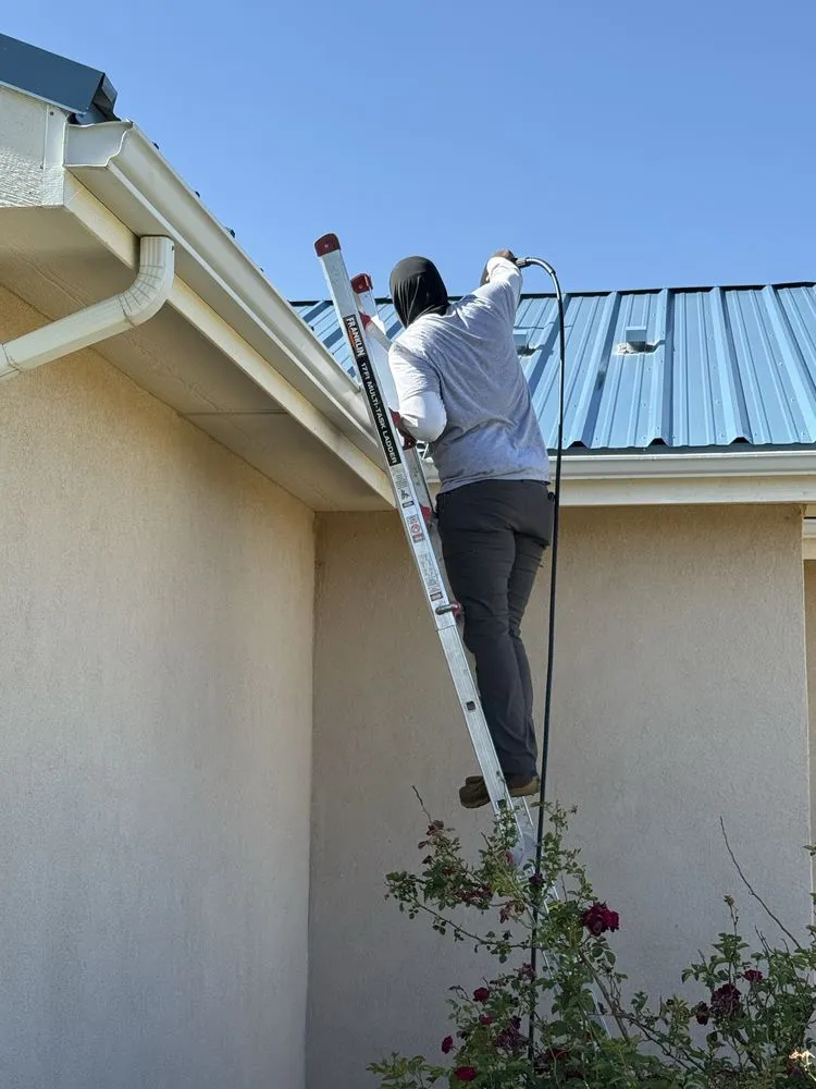 Professional yard cleanup service in Moriarty, NM by BBs Services