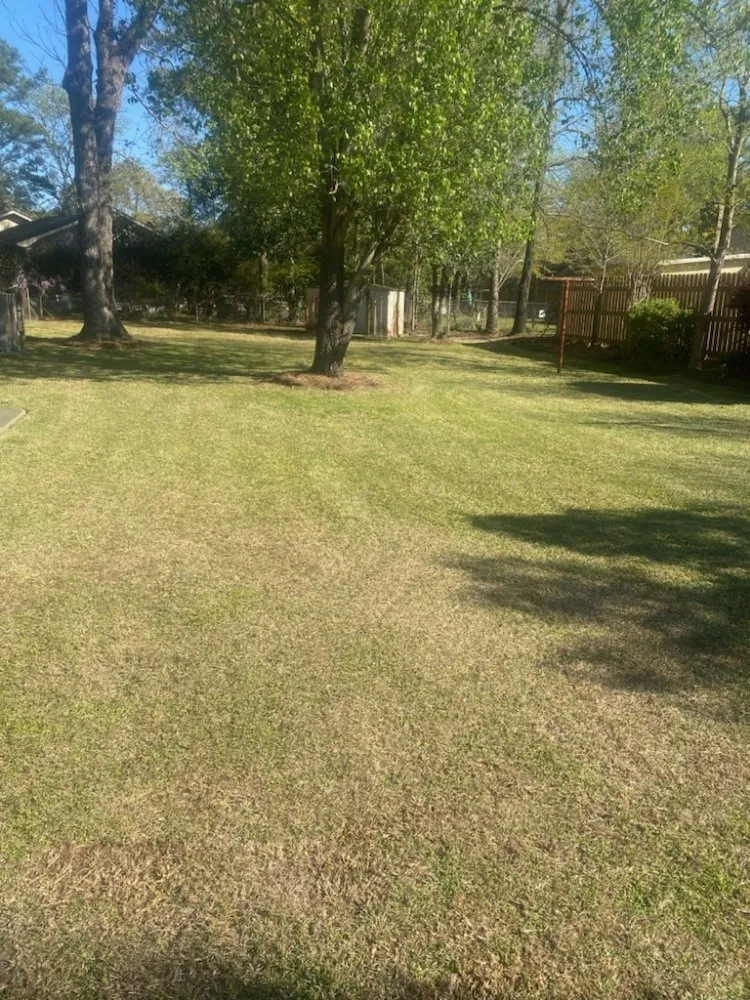 Top-rated yard cleanup service in Summerville, SC by BC Bright's Contracting