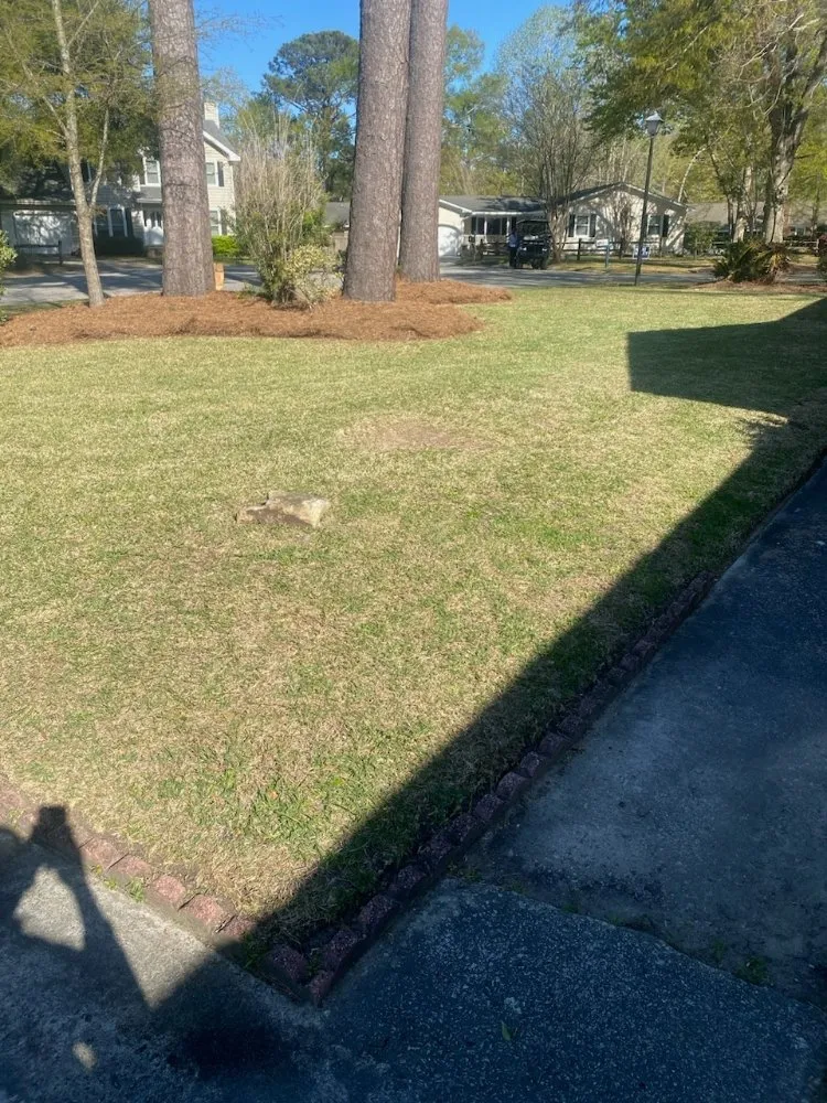 Professional outdoor landscaping with custom design in Summerville, SC by BC Bright's Contracting