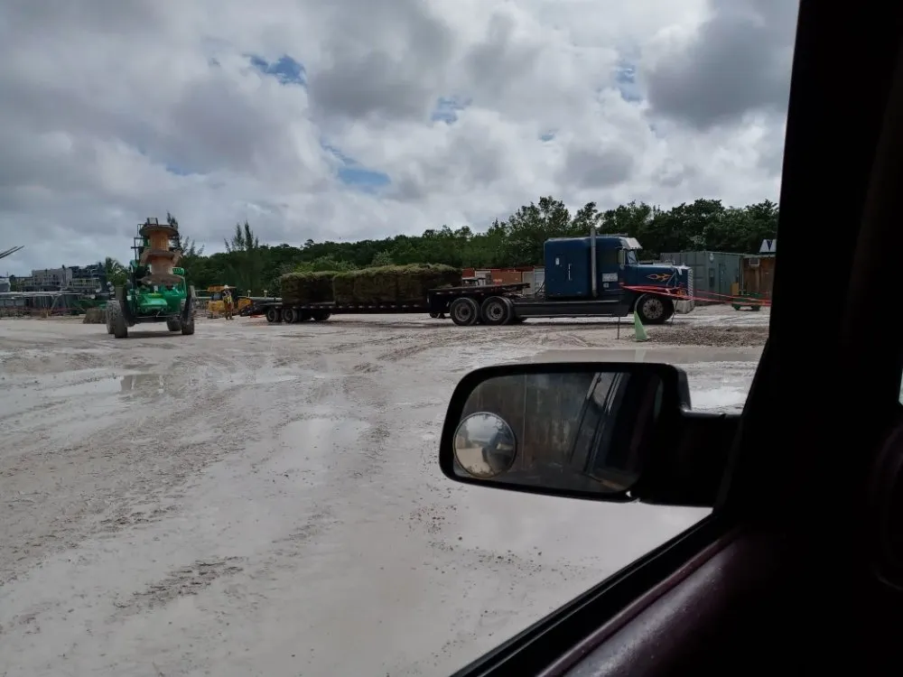 Reliable outdoor landscaping in Oakland Park, FL by B&C Exotic Landscaping