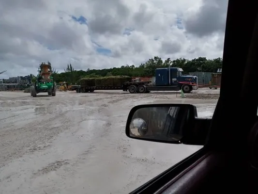 B&C Exotic Landscaping