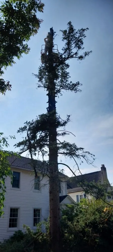 Local residential landscaping for residential properties across Constantine, MI - B&C Home Remedies Handy Man Service