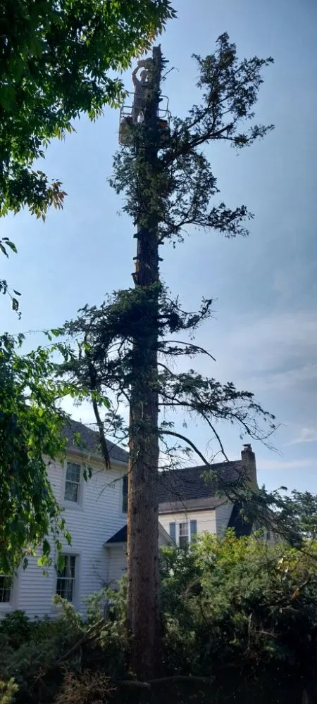 Expert landscaping services in Constantine, MI by B&C Home Remedies Handy Man Service