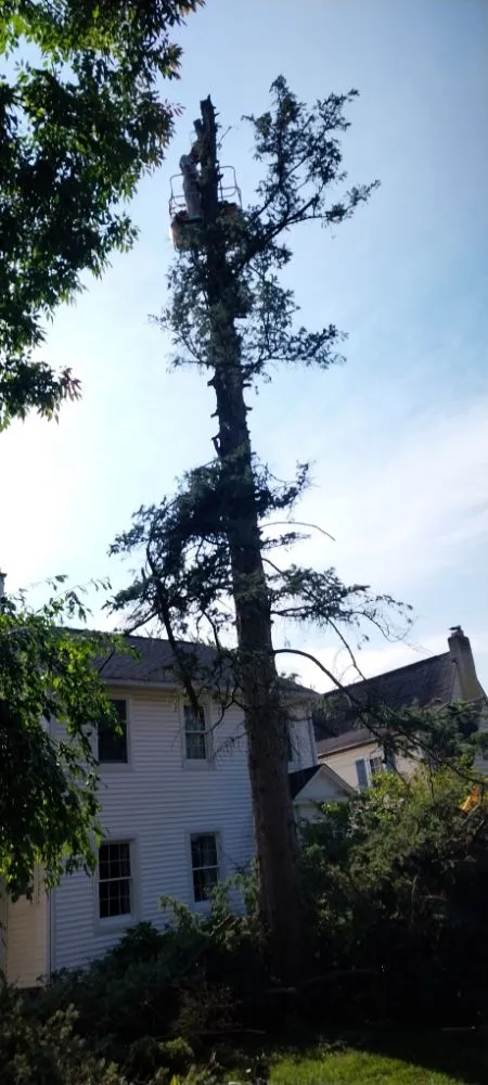 Professional garden landscaping experts serving Constantine, MI - B&C Home Remedies Handy Man Service