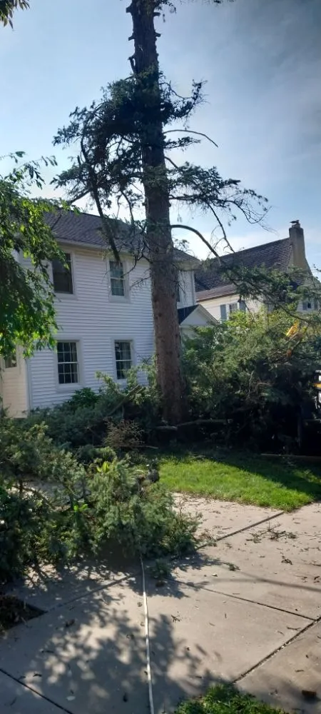 Professional lawn mowing service in Constantine, MI by B&C Home Remedies Handy Man Service