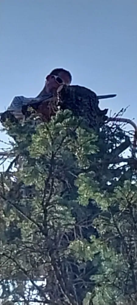 Expert lawn mowing service in Constantine, MI by B&C Home Remedies Handy Man Service